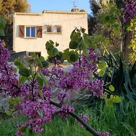 La Champanel Maison Vue Mer Βίλα Μασσαλία Εξωτερικό φωτογραφία