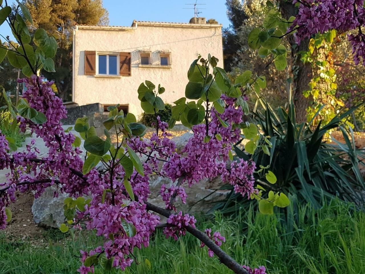 La Champanel Maison Vue Mer Βίλα Μασσαλία Εξωτερικό φωτογραφία